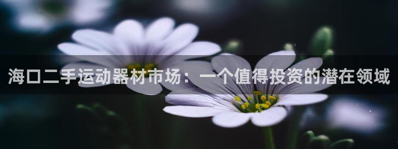 意昂5(KGAME)娱乐40996：海口二手运动器材