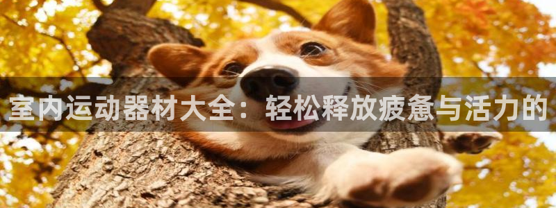 意昂体育5(KGAME)招商电话地址查询：室内运动器