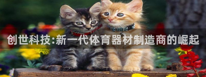 意昂体育5(KGAME)是干嘛的公司：创世科技:新一代体育器