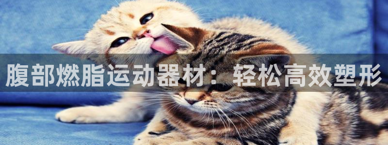 意昂体育5(KGAME)招商电话是多少：腹部燃脂运动