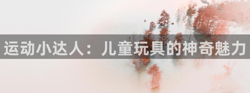 注册意昂5(KGAME)：运动小达人：儿童玩具的神奇魅力