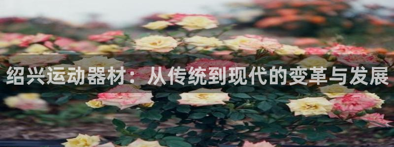 意昂体育5(KGAME)招商电话号码：绍兴运动器材：从传统到