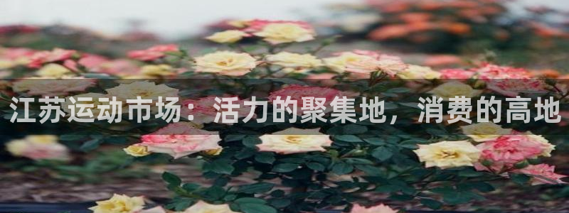 意昂体育5(KGAME)注册