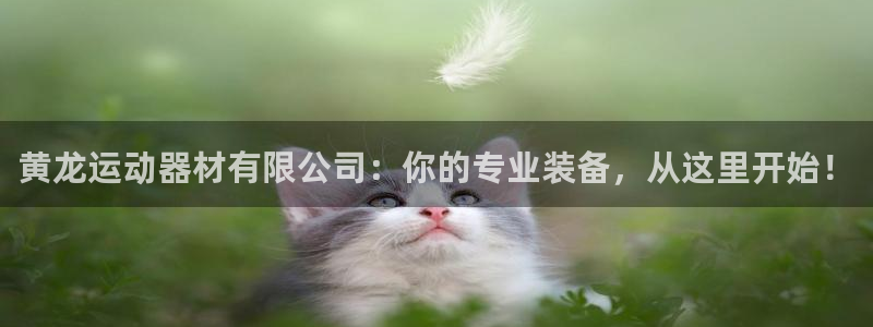 意昂5(KGAME)娱乐下载:黄龙运动器材有限公司:你的专业