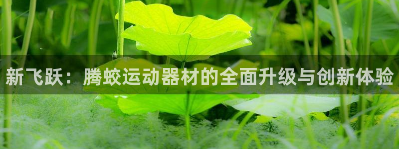 意昂体育5(KGAME)招商电话地址:新飞跃:腾蛟运动器材的