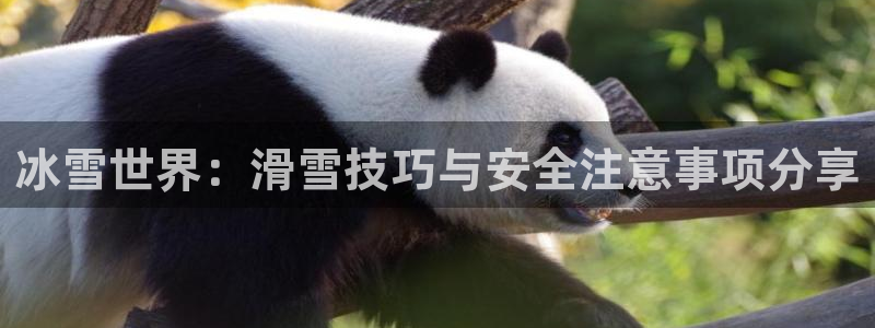 米兰体育官网入口