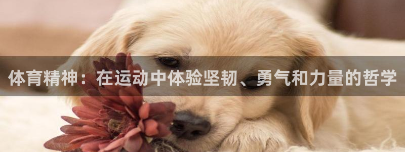米兰体育