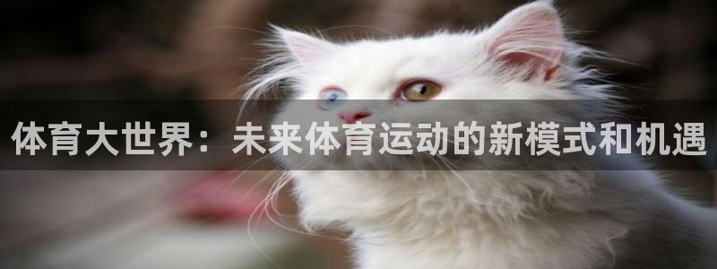 米兰体育网站
