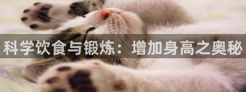 米兰体育场