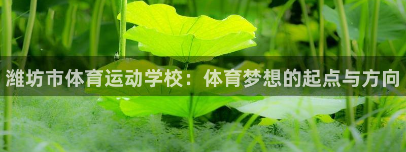 米兰体育中心
