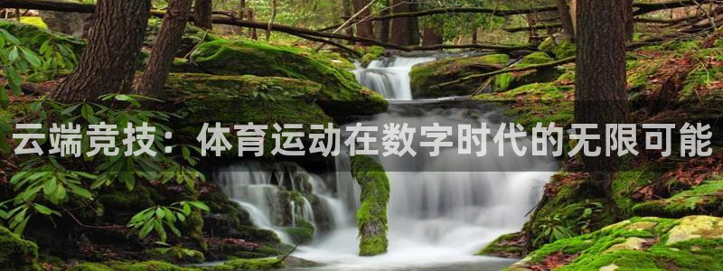 米兰体育在线