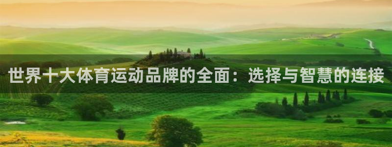 米兰体育网页版登录