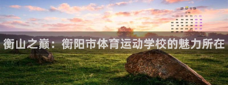 米兰体育官方下载入口
