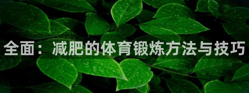 米兰体育官网入口