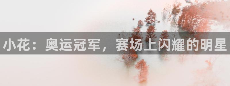 米兰体育综合官网